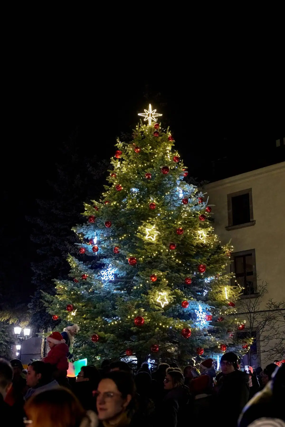 Masz wysoką choinkę? Może ozdobić swarzędzki Rynek